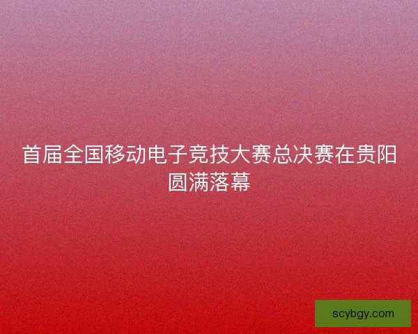 首届全国移动电子竞技大赛总决赛在贵阳圆满落幕 首届全国移动电子竞技大赛总决赛在贵阳圆满落幕