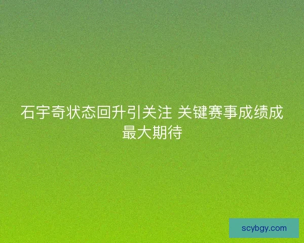 石宇奇状态回升引关注 关键赛事成绩成最大期待